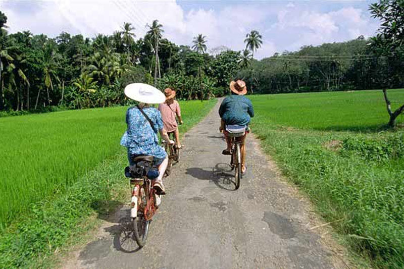 cycling-in-sri-lanka